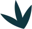 了解我们的最新动态 - 开云体育下载